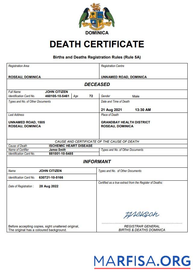 Blank Dominica vital record death certificate Word and PDF template
